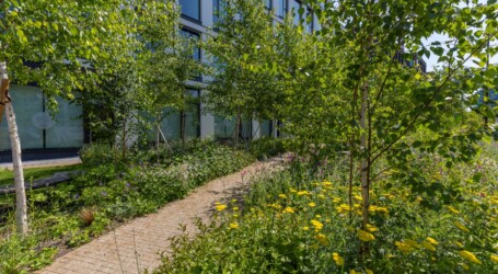 Terra Florida - náhledový obrázek