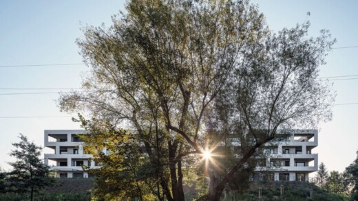 Terra Florida - náhledový obrázek
